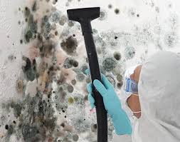 Professional Mold Removal Services in Andrews, IN